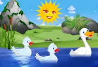 Slagalica Ducks on the lake