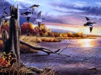 Zagadka Ducks above the river