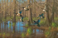 Jigsaw Puzzle Ducks in the woods