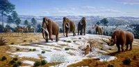 Puzzle In the ice age