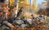 Jigsaw Puzzle In the autumn forest
