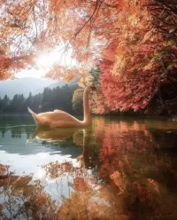 パズル In the reflection of autumn