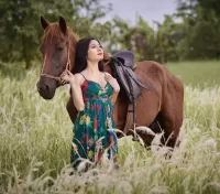 Quebra-cabeça In a field with a horse