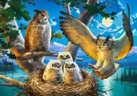 Rätsel At the owl's nest