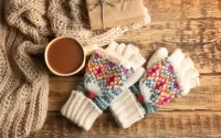 Jigsaw Puzzle Mittens
