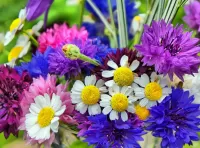 Jigsaw Puzzle Cornflowers and daisies