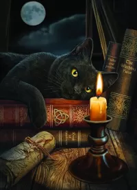 Quebra-cabeça Witch cat