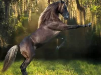 Пазл Великолепный конь