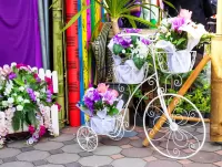 Пазл Велосипед в цветах