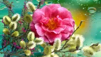 Jigsaw Puzzle Willow and rose