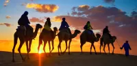 Jigsaw Puzzle Camel procession
