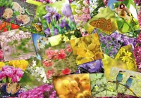 Jigsaw Puzzle Spring collage
