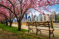 Пазл Весна в Нью-Йорке