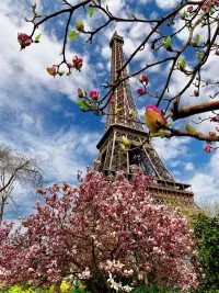 Jigsaw Puzzle Spring in Paris