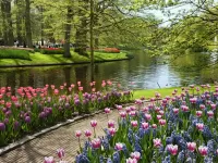 Jigsaw Puzzle Spring in park