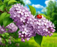 ジグソーパズル ライラック支店