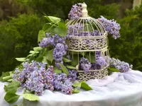 Jigsaw Puzzle lilac branch