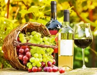 パズル Wine and grapes