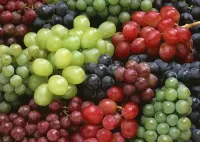 Rätsel Grapes