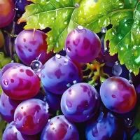 Rompecabezas Grape