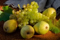 Jigsaw Puzzle Grapes and pears