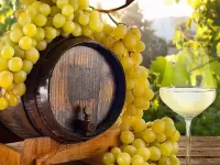 Пазл Виноград и вино