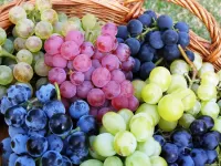Jigsaw Puzzle Grapes in a basket