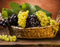 Bulmaca Grapes in a basket