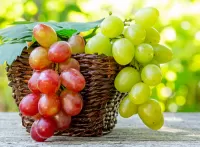 Puzzle Grapes in a basket