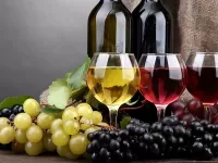 Слагалица Vinogradnoe vino