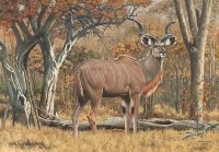 Rompecabezas Horned antelope