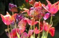 Quebra-cabeça stained glass tulips
