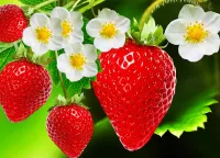 Пазл Вкусная ягода