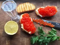 Slagalica Vodka and caviar
