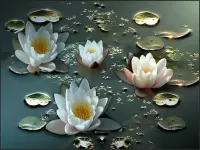 Quebra-cabeça water lilies