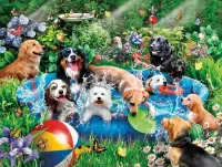 Jigsaw Puzzle Water games
