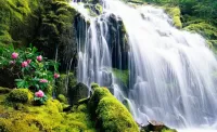 Jigsaw Puzzle Waterfall and flowers