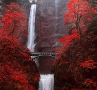 Слагалица Waterfall under the bridge