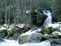 Rätsel vodopad v lesu