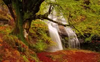 Quebra-cabeça Waterfall in Autumn Forest