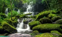 Jigsaw Puzzle Waterfall in the forest