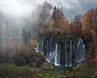 Пазл Водопад в лесу