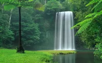 パズル Waterfall in the forest
