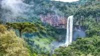 Quebra-cabeça Waterfall in the rainforest