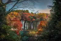Quebra-cabeça Waterfall in Japan