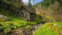 Rompicapo Water Mill