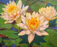 Puzzle Water lilies