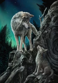 Пазл Волчица и вочонок