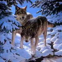 Rompicapo wolf couple