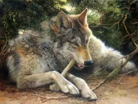 Slagalica Wolf